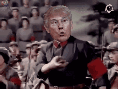 谁也没想到川普的"农村包围城市"居然建立奇功.