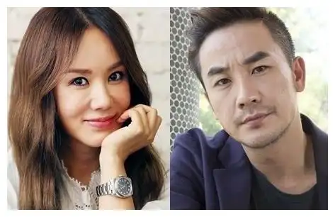 婚内出轨被冷藏5年 曾与李宝英饰情侣|严正花|严泰雄|李宝英_新浪新闻