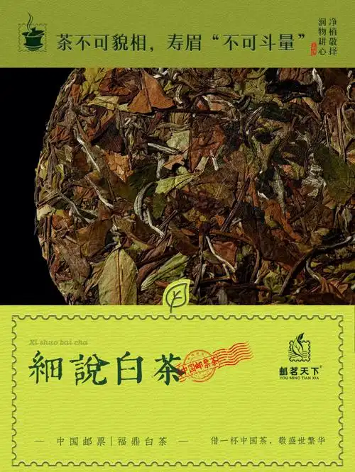 茶不可貌相寿眉不可估量