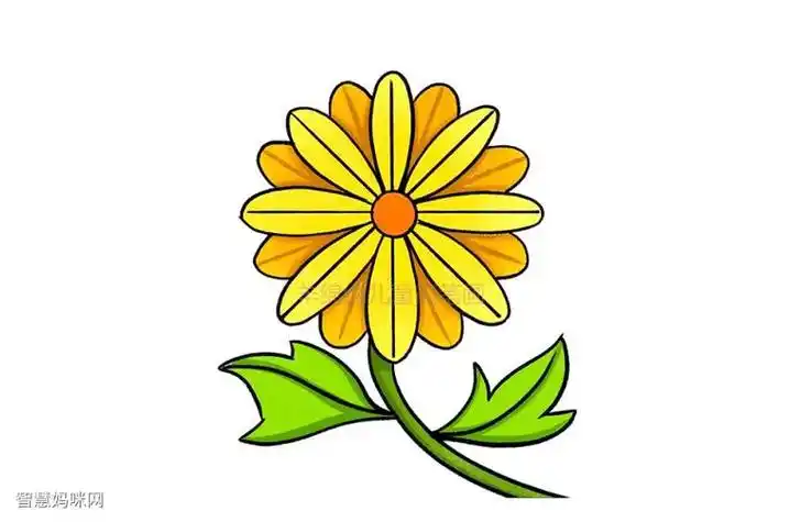 菊花边边框素材简笔画