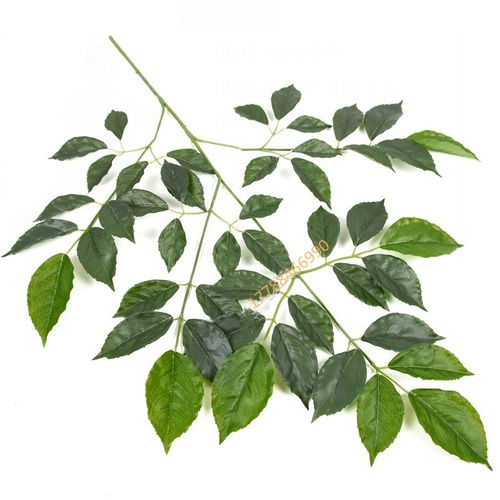 仿真香樟树叶手感栾树叶过胶假樟树枝园林黄连木树枝装饰榉树叶子