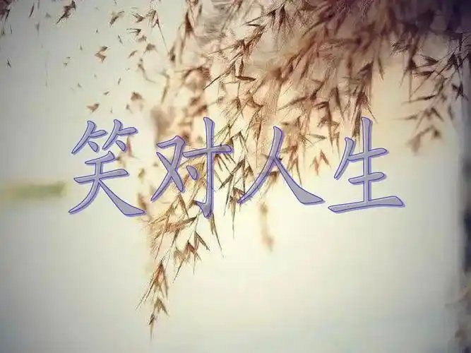 有关笑对人生演讲ppt (关于《滚蛋吧肿瘤君》观后感)