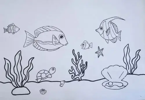 力,想象一下海底世界可能是什么样子的,可能会有什么海洋动物或植物?