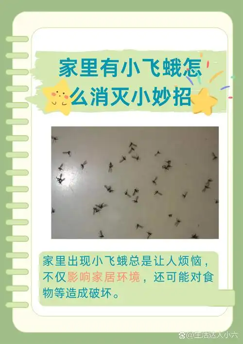 家里有小飞蛾怎么消灭小妙招  家里出现小飞蛾总是让人烦恼,不仅影响