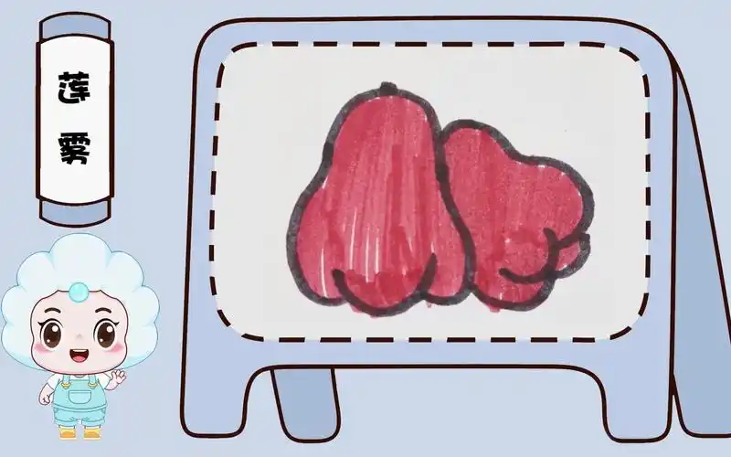 【小海贝简笔画之蔬菜瓜果系列】莲雾