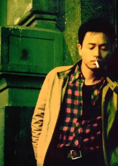 春光乍泄何宝荣介绍,春光乍泄何宝荣张国荣演的是谁 - 电视吧