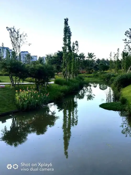 四川遂宁九莲洲国家生态湿地公园实景小照