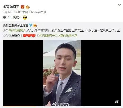 驯鹿娱乐:张哲瀚老板赵薇也犯过同样错误?上梁不正下梁歪!