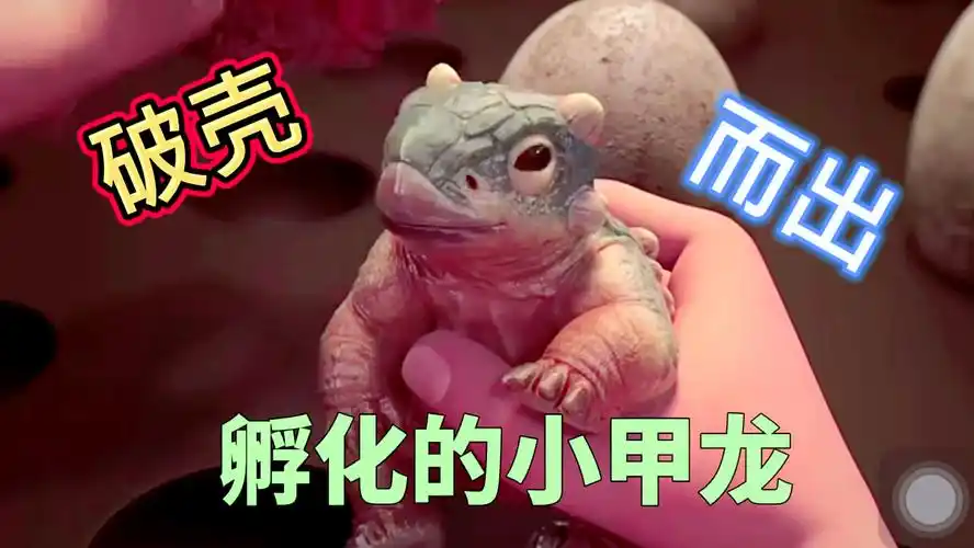 恐龙恐龙蛋孵化出小甲龙太可爱了