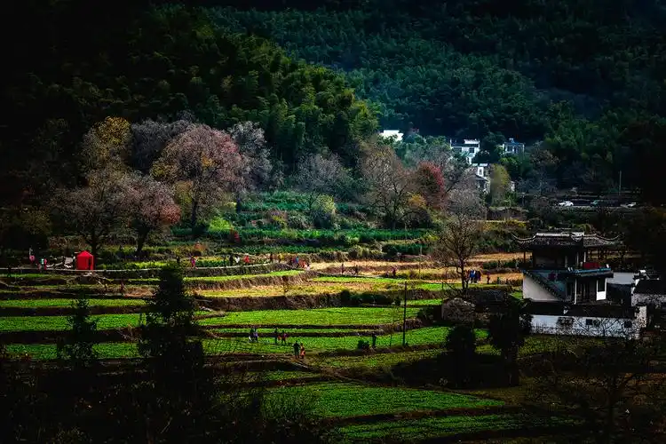 黟县小桃源众多美丽富饶的自然村落中一个独具魅力的山间村落塔川村