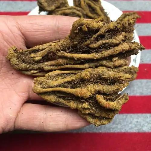 黄连中药材精选鸡爪黄连片连片黄连个连个500克包邮其他药食同源食品