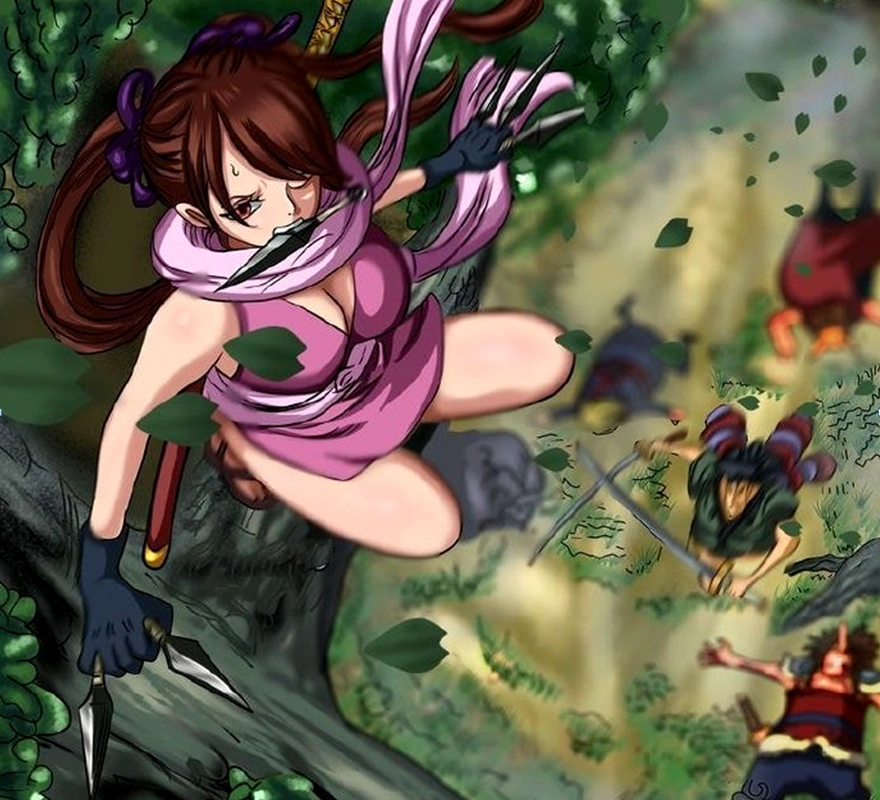 海贼王漫画972:御田遗书信息量巨大,和之国内奸不在赤鞘九人中