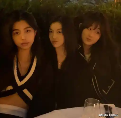 戴耳环风格优雅,像一位古典公主_很漂亮_瑞士_王菲