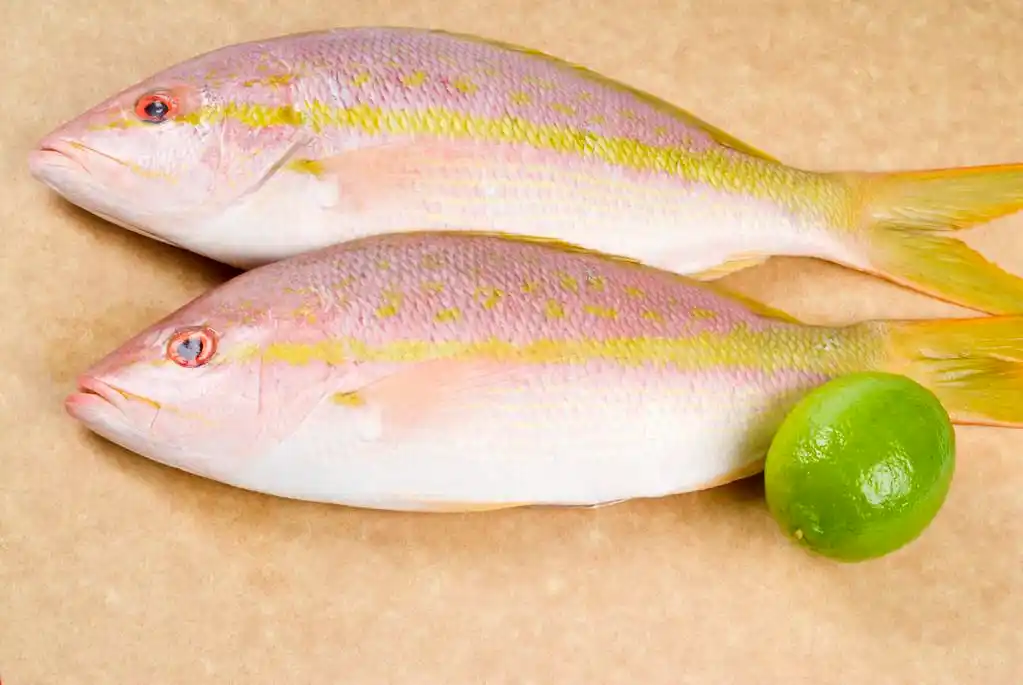 原料黄尾鲷鱼和石灰在菜板上