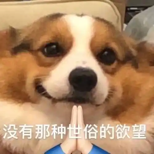 没有那种世俗的欲望单身狗表情包