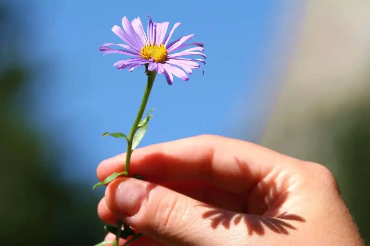 《金刚经》:所谓的心,并不是真正的心,只是名称上叫心