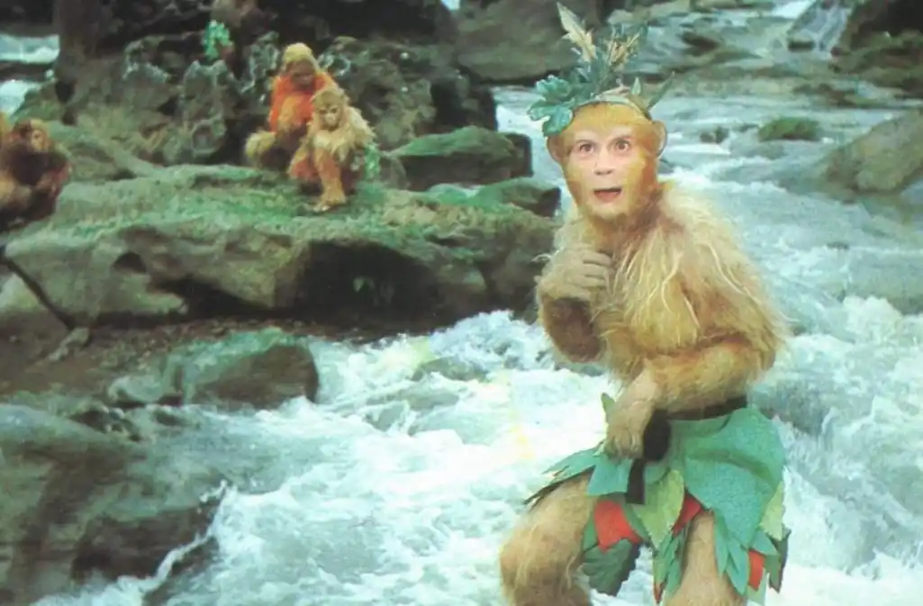 就连从石头里蹦出来的孙猴子,也是这样哭着长大的.