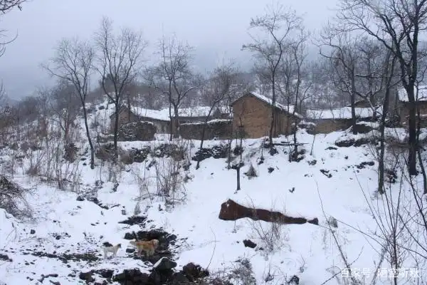 七律·乡村雪霁后