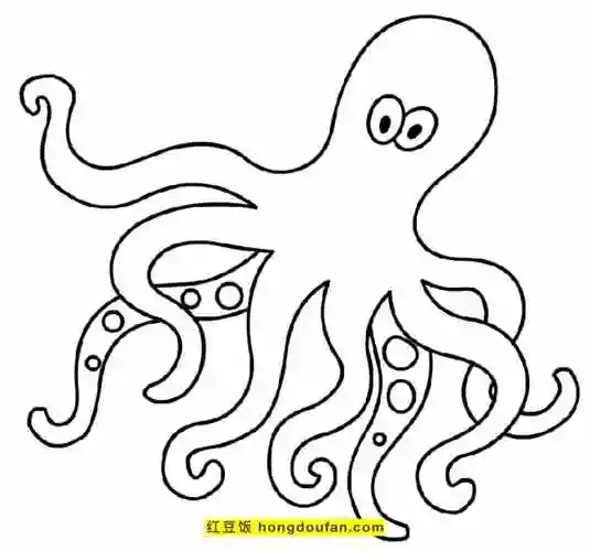 11张一点也不恐怖的可爱的卡通章鱼儿童涂色简笔画-红豆饭小学生简笔