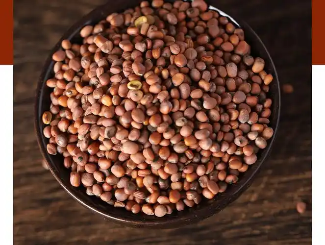 同仁堂500g莱菔子中药材炒莱菔子可磨炒莱菔子粉莱菔子茶萝卜子萝卜籽