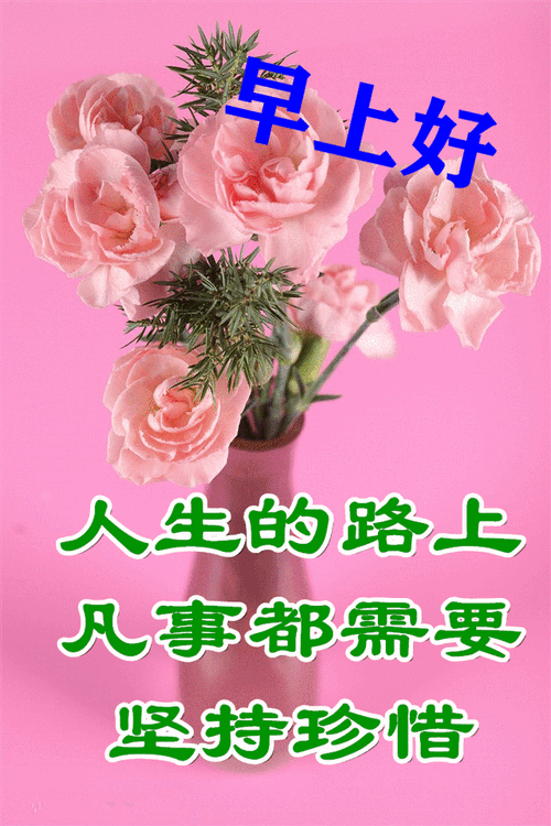 好看唯美的鲜花早上好图片带字带祝福语,免打字春天早安问候图片