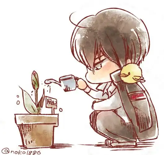 家庭教师reborn [云雀恭弥/云豆]