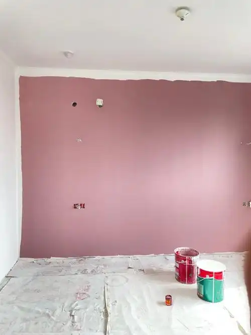 我的装修记录#网红立邦色#立邦褐珊瑚