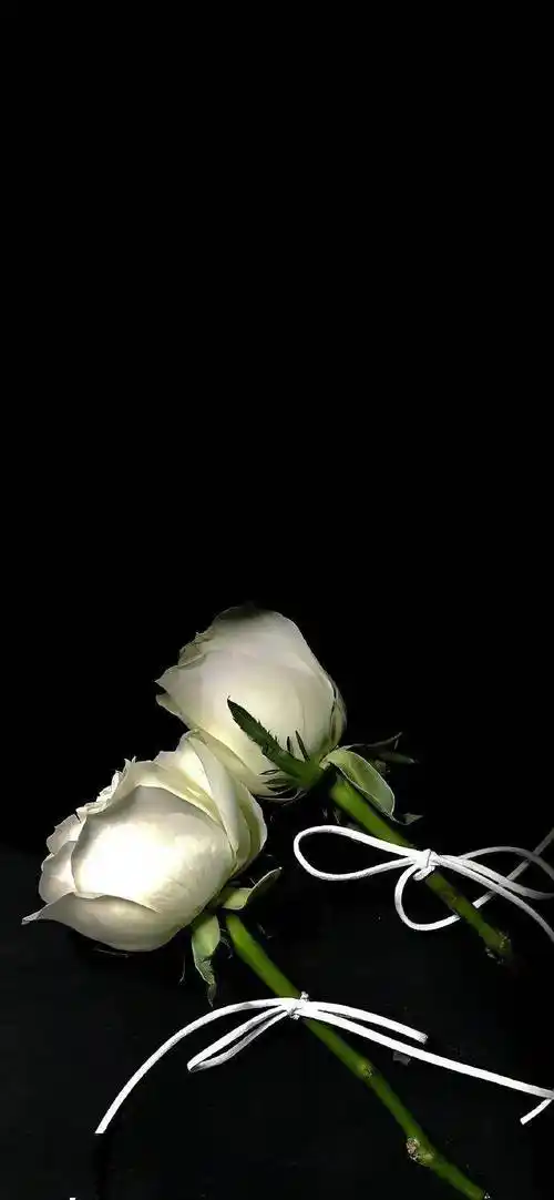 壁纸|很值得称赞的小众锁屏壁纸 676767_花香_时间