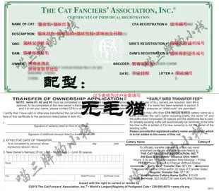 代办注册cfa纯种猫血统证书 出生纸 绿纸证书 带繁育权 无毛猫证