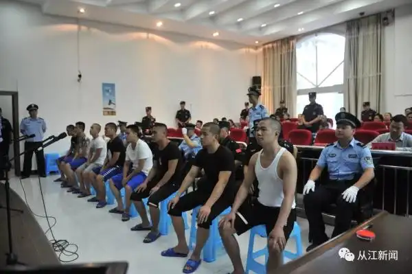 非法持有枪支!从江8人涉恶团伙头目获重刑