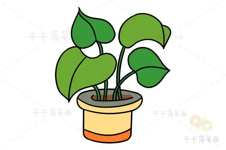 绿萝简笔画幼儿启蒙画