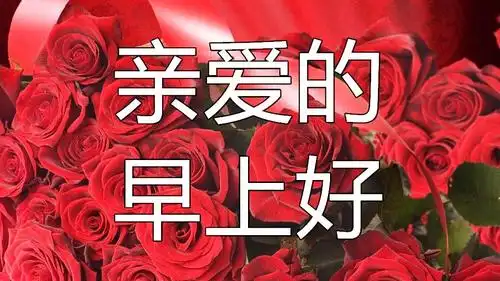 早上好,亲爱的,想你,爱你,牵挂你,送你首好听的情歌,好美