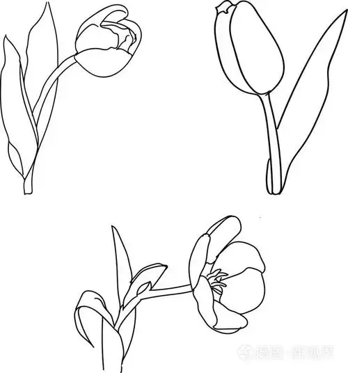 郁金香剪影向量