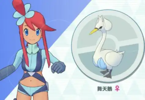 宝可梦大师风露拍组强不强