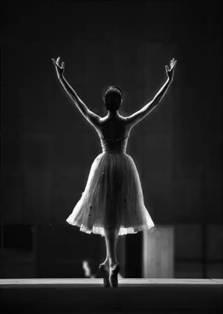 芭蕾舞者背影黑白