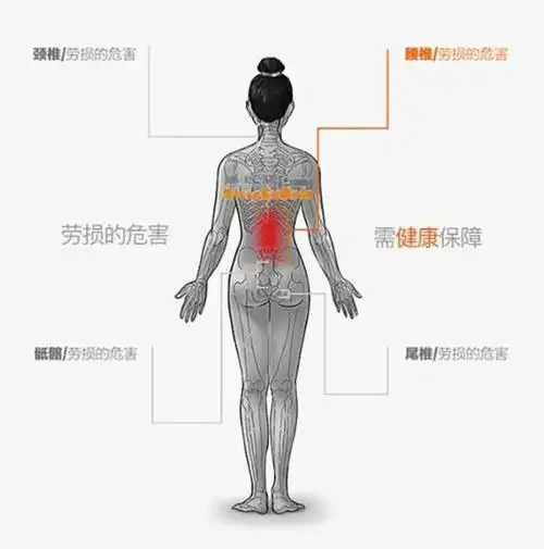 还要承受整个身体的重量,后腰部长时间悬空,再加上脊柱本身的构造原因