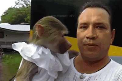 神同步gif模仿gif搞笑gif猴子gif