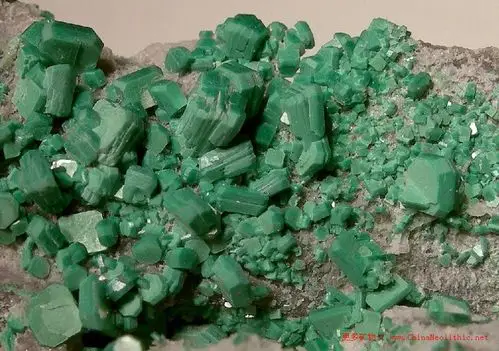 >> 矿物图片 >> 铜铀云母-torbernite