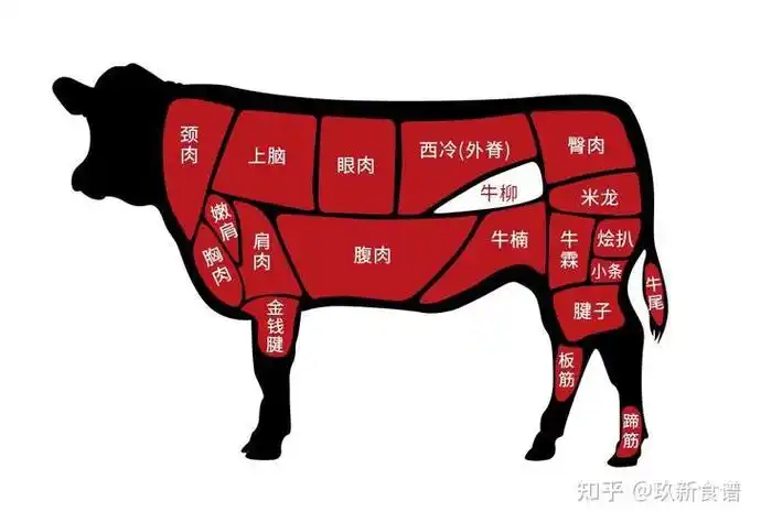 牛柳是牛的哪个部位