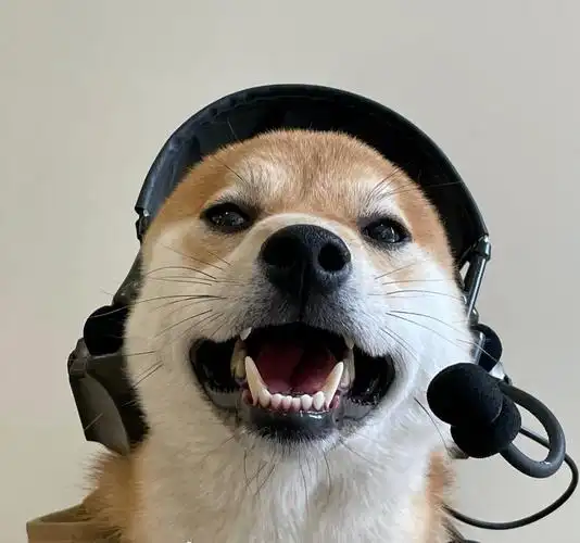 听说这是大佬才用的头像04