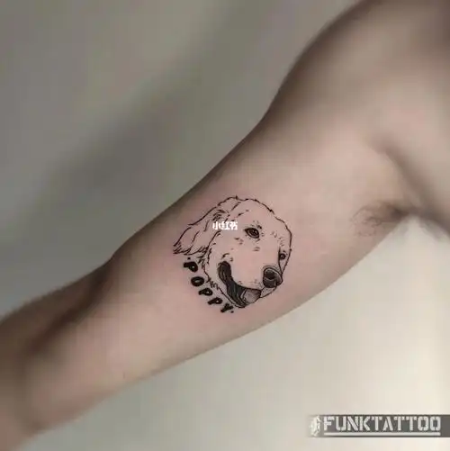 狗狗纹身宠物纹身