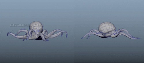 带绑定的乌贼,循环走路动画,八爪鱼,墨鱼,深海鱼,zy