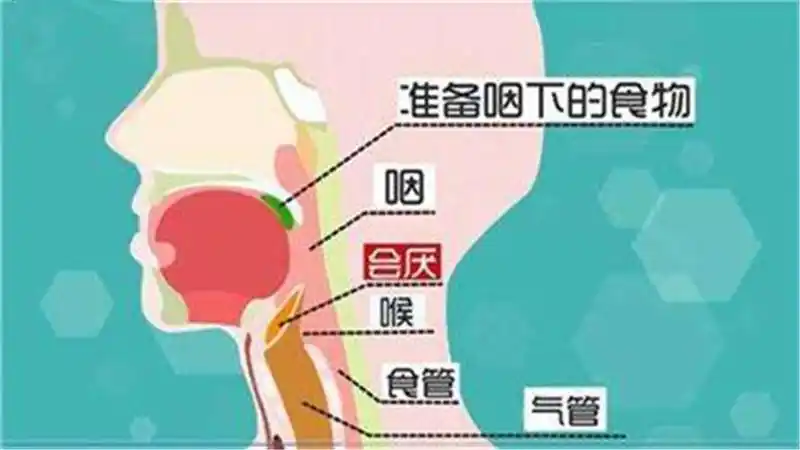 宝宝出现的会厌炎是扁桃体炎吗