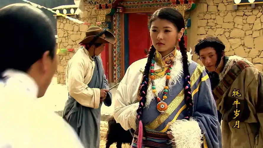 牦牛岁月太太买了几只羊带上佣人准备去拜访恩人真是太豪气了