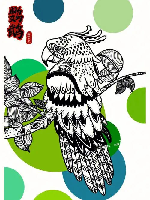 动物线描鹦鹉内含详细过程步骤图