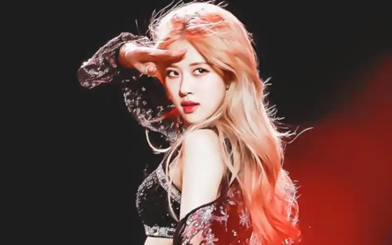 活动作品rose现场演唱会