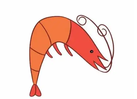 卡通小虾简笔画的画法步骤教程,图片,简笔画-学笔画