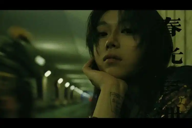 王家卫重庆森林堕落天使春光乍泻