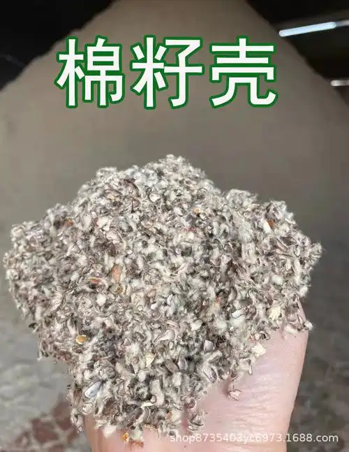 棉子壳  中绒棉籽壳长绒棉籽壳  种植菌类植物  大棚用棉籽壳