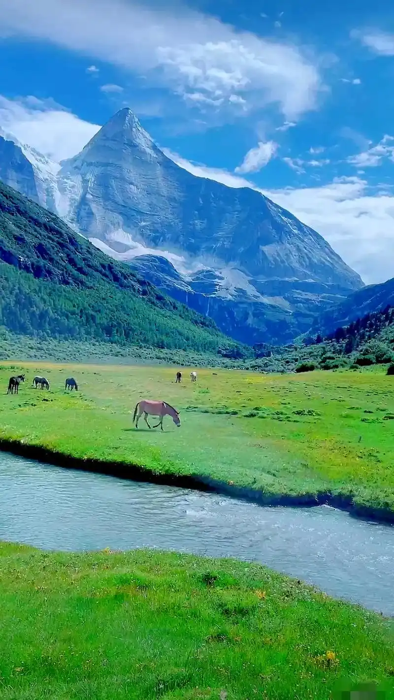 美丽的青藏高原#雪山草地马儿壮#图文伙伴计划,祖国壮美的大 - 抖音